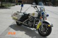 /album/vehiculos-policia-local-valencia/vehiculos-plv-gran-jpg/